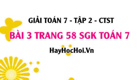 Giải bài 3 trang 58 Toán 7 tập 2 SGK Chân trời sáng tạo